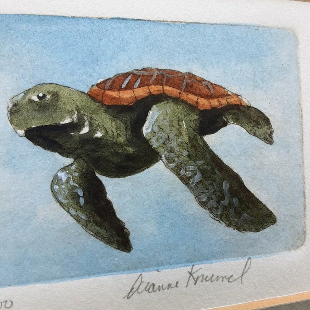 Sea Turtle Acid Etched by Dianne Krumel Gulf Coast Artist